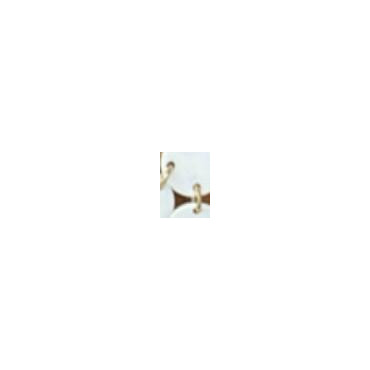 Boucles d'oreilles - Francine BRAMLI Paris