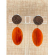 PLUME ambre - Francine BRAMLI Paris