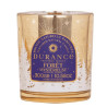 Bougie FORÊT MYSTÉRIEUSE mèche bois - DURANCE 280gr