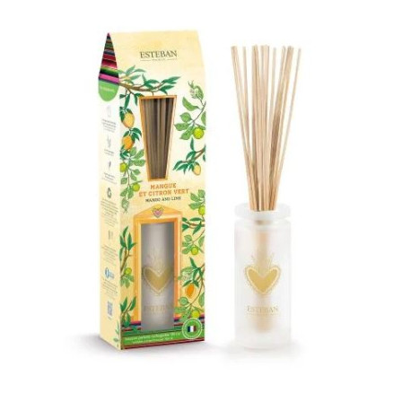 Bouquet Parfumé MANGUE & CITRON VERT 100ml - ESTEBAN