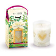 Bougie MANGUE & CITRON VERT 180g - ESTEBAN