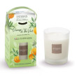Bougie ORANGE & THÉ VERT 180g - ESTEBAN