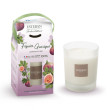 Bougie FIGUIER GARRIGUE 180g - ESTEBAN