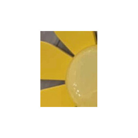 BIJOU - Francine BRAMLI Paris