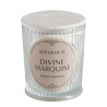 Bougie DIVINE MARQUISE 145g - MATHILDE M