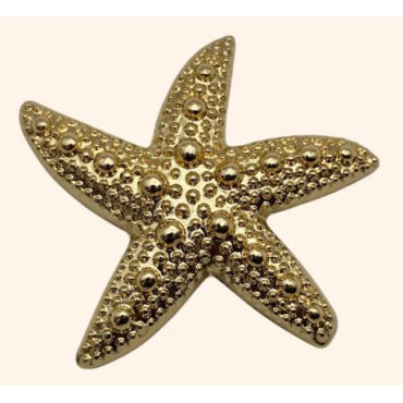 Clip Calypso ETOILE DE MER - LA LOGE DE SUZON