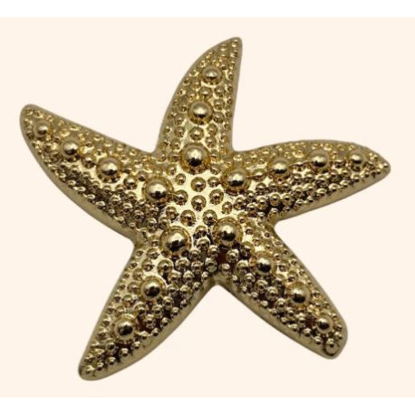 Clip Calypso ETOILE DE MER - LA LOGE DE SUZON