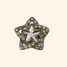 Bijoux de Bouton ETOILE & STRASS Doré et Blanc - LA LOGE DE SUZON