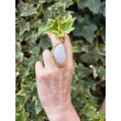 Bague GALET blanc, doré - Francine BRAMLI Paris