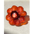 Bague FLEUR Rouge - Francine BRAMLI Paris