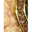 BIJOUX Francine BRAMLI Paris & accessoires
