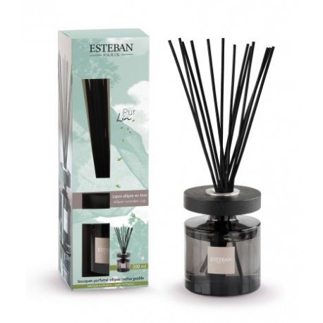Bouquet Ellipse PUR LIN 200ml - ESTEBAN